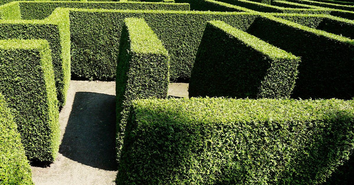 index.php?option=com_content&view=article&id=29990&catid=150&Itemid=1102