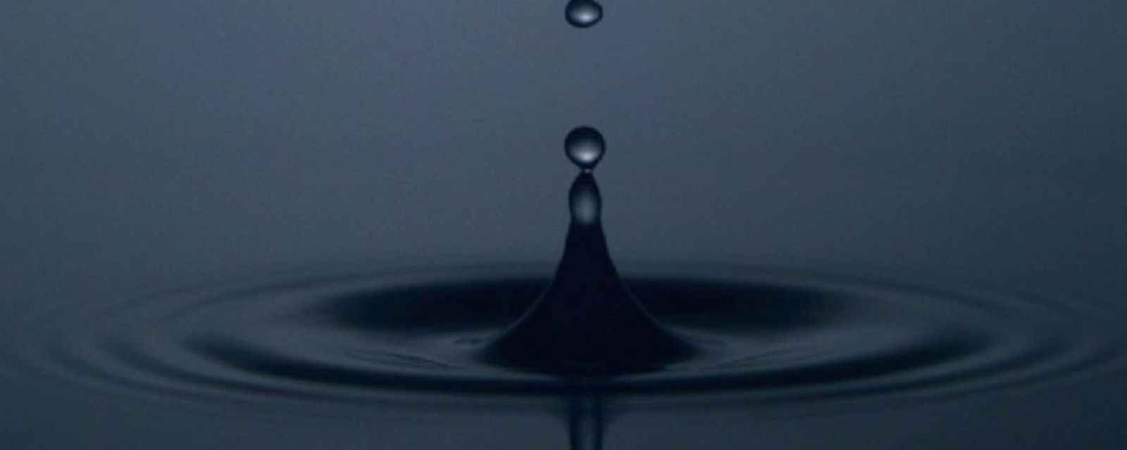 IFS udostępnia MindFuel — serię branżowych sesji internetowych, które mają pomóc firmom stawić czoła przyszłości