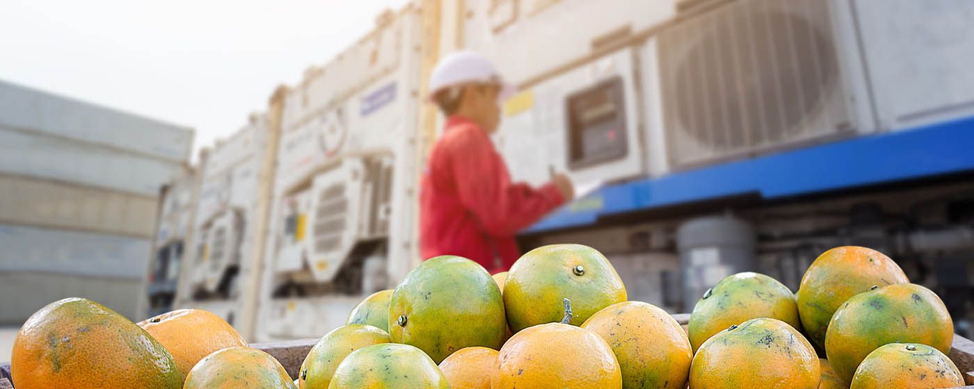 index.php?option=com_content&view=article&id=28919&catid=152&Itemid=1379