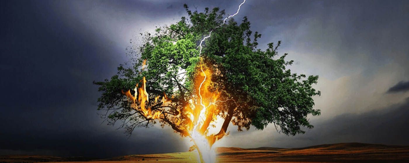 Budżetowanie w systemie ERP, czyli jak skutecznie zabić w firmie proces planowania