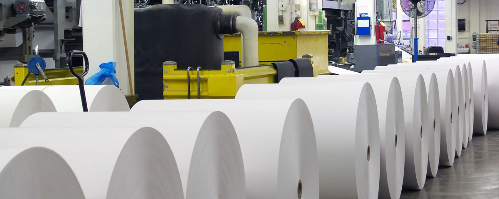 Firma ZING zakończyła wdrożenie systemu ERP SAP Business One