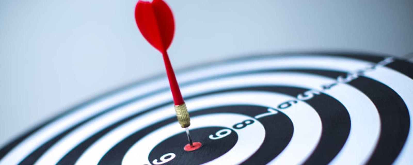 S&T umacnia swoją pozycję w consultingu IT