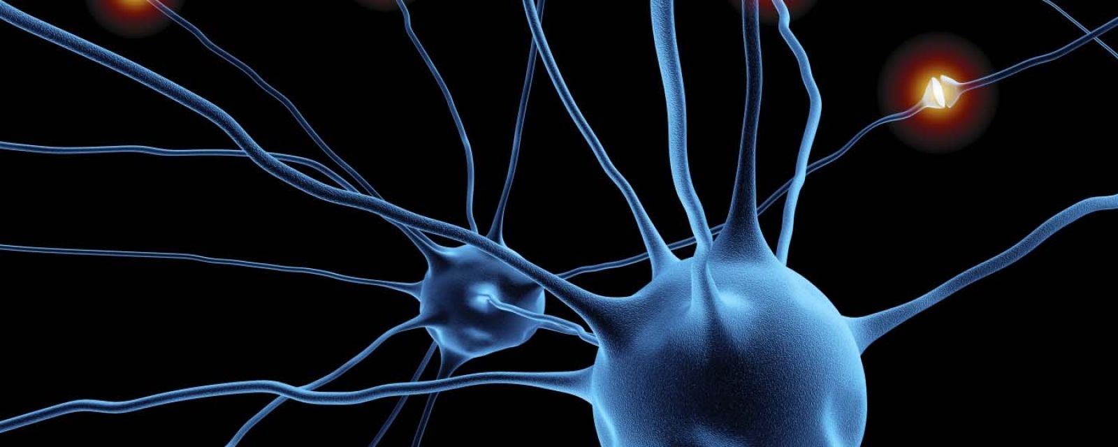 OPI postawiło na sztuczną inteligencję